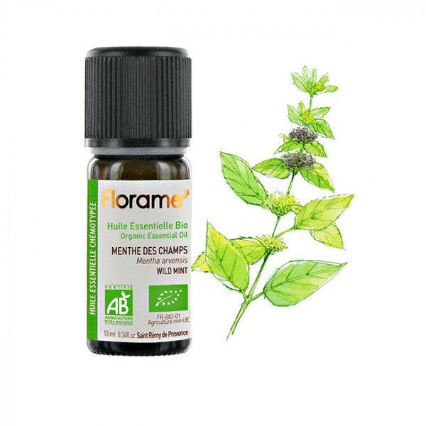 Organic essential oil - Wild mint - 10ml / 0,3oz - Florame