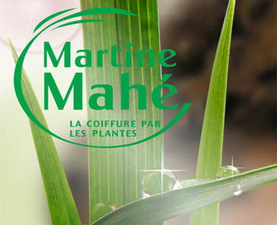Martine Mahé, teintures aux plantes
